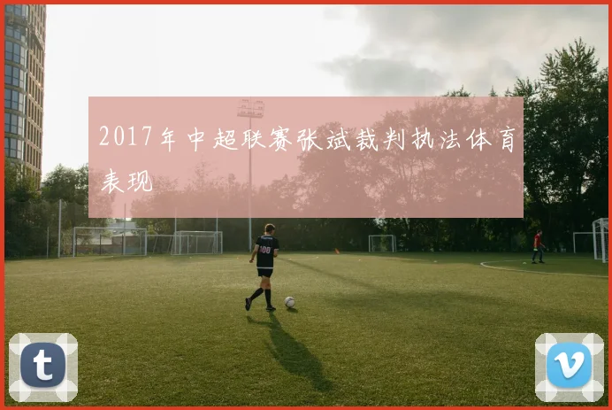 2017年中超联赛张斌裁判执法体育表现