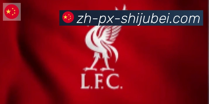 世界杯赛程表合作伙伴